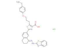 eMolecules​&nbsp;Medchem Express / WEHI-539 hydrochloride / 5mg / 446266118 / HY-15607A /  / 2070018-33-4 / MFCD26960962 / 620.180 / C31H30ClN5O3S2