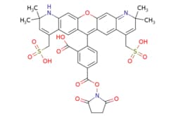 eMolecules​ Broadpharm / BP Fluor 568 NHS Ester / 1mg / 599128661 / BP-25566