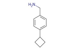 eMolecules​ AstaTech / (4-CYCLOBUTYLPHENYL)METHANAMINE / 0.1g / 696739304