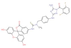 eMolecules​ 2101955-00-2 | Medchem Express | JAK2 JH2 Tracer | 1mg | 446257635