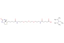 eMolecules​&nbsp;Broadpharm / N-Biotinyl-NH-(PEG)2-COOH DIPEA (20 atoms) / 100mg / 779524463 / BP-29712 /  / 1205744-09-7 / [null] / 689.950 / C33H63N5O8S