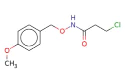 eMolecules​ Synthonix - Stock / 3-Chloro-N-[(4-methoxyphenyl)methoxy]propanamide