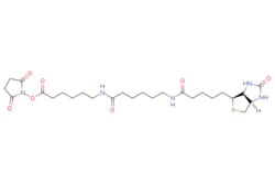 eMolecules​&nbsp;Broadpharm / Biotin-LC-LC-NHS Ester / 50mg / 279709298 / BP-22110 / 97.000 / 89889-52-1 / MFCD00467154 / 567.700 / C26H41N5O7S