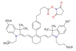 eMolecules​&nbsp;Broadpharm / IR 750 NHS ester / 1mg / 713700015 / BP-28167 /  /  / [null] / 1098.280 / C51H59N3O16S4