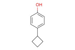 eMolecules​&nbsp;AOBChem USA / 4-Cyclobutylphenol / 250mg / 586039956 / 28586 /  / 10292-59-8 / MFCD21099815 / 148.205 / C10H12O
