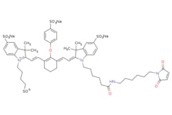 eMolecules​ Broadpharm / 800 CW maleimide / 0.5mg / 563055211 / BP-25129