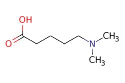 eMolecules​ 89855-60-7 | Ambeed | 5-(Dimethylamino)pentanoic acid | 1g