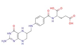 eMolecules​&nbsp;135-16-0 | Ambeed |  (2S)-2-(4-(((2-Amino-4-oxo-345678-hexahydropteridin-6-yl)methyl)amino)benzamido)pentanedioic acid |  100mg | 525877277 | A276659 | 445.436 |  C19H23N7O6