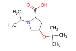 eMolecules​&nbsp;AstaTech / (2S4S)-4-TERT-BUTOXY-1-ISOPROPYL-PROLINE / 0.25g / 200610722 / 53827 / 97.000 / 1263078-26-7 / MFCD11053549 / 229.320 / C12H23NO3