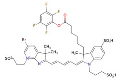eMolecules​&nbsp;Broadpharm / BP Fluor 680 TFP Ester / 1mg / 599128742 / BP-25590 /  /  / [null] / 1006.890 / C41H44BrF4N3O11S3