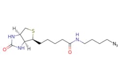 eMolecules​ Broadpharm / 5-(Biotinamido)butyllazide / 100mg / 779524321