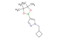eMolecules​ AstaTech / 1-(CYCLOBUTYLMETHYL)-4-(TETRAMETHYL-132-DIOXABOROLAN-2-YL)-1H-PYRAZOLE