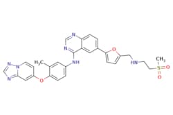 eMolecules​&nbsp;Medchem Express / ARRY-380 (analog) / 5mg / 446258826 / HY-10531 /  / 937265-83-3 / MFCD22420817 / 569.640 / C29H27N7O4S