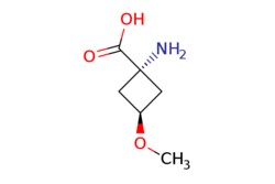 eMolecules​ Pharmablock / trans-1-amino-3-methoxy-cyclobutanecarboxylic