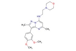 eMolecules​ 900874-91-1 | Medchem Express | T-00127HEV1 | 5mg | 437899033