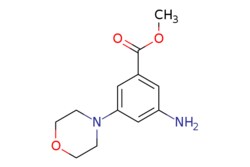 eMolecules​&nbsp;Synthonix / methyl 3-amino-5-(morpholin-4-yl)benzoate / 100mg / 779536593 / AC77695 /  / 1259445-26-5 / [null] / 236.271 / C12H16N2O3