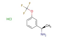 eMolecules​ ChemScene / (R)-1-(3-(Trifluoromethoxy)phenyl)ethanamine hydrochloride