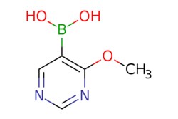 eMolecules​ 909187-37-7 | Ambeed | (4-Methoxypyrimidin-5-yl)boronic acid