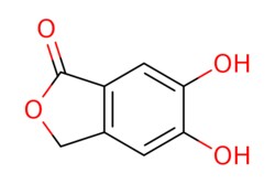 eMolecules​ 53766-43-1 | Ambeed | 56-Dihydroxyisobenzofuran-1(3H)-one |