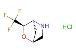 eMolecules​ Pharmablock / endo-3-(trifluoromethyl)-2-oxa-5-azabicyclo[2.2.1]heptanehydrochloride