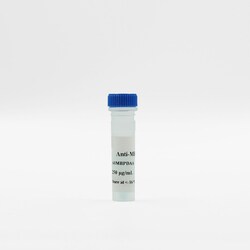 Revvity Health Sciences Inc HTRF mAb Anti-MBP d2-Conjugate, 5,000 Assay