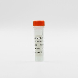 Revvity Health Sciences Inc HTRF mAb Anti-MBP Eu-Conjugate, 20,000 Assay