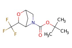eMolecules​ Pharmablock / tert-butyl 3-(trifluoromethyl)-2-oxa-5-azabicyclo[2.2.1]heptane-5-carboxylate
