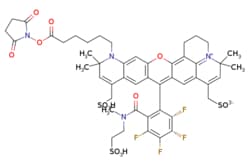 eMolecules​ Broadpharm / MB 633 NHS Ester / 1mg / 713699946 / BP-28145