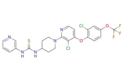 eMolecules​&nbsp;2301866-59-9 | Medchem Express |  DO-264 |  5mg | 475641541 | HY-114157 | 558.4 |  C23H20Cl2F3N5O2S