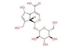 eMolecules​&nbsp;Medchem Express / Deacetylasperulosidic Acid / 5mg / 552386852 / HY-N0594 /  / 14259-55-3 / MFCD21364062 / 390.341 / C16H22O11