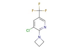 eMolecules​ 1389946-63-7 | ChemScene | 2-(Azetidin-1-yl)-3-chloro-5-(trifluoromethyl)pyridine
