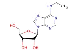 eMolecules​&nbsp;Medchem Express / N6-Ethyladenosine / 10mg / 451965711 / HY-111809 /  / 14357-08-5 / [null] / 295.299 / C12H17N5O4
