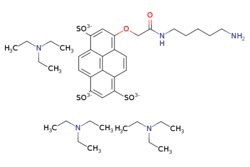 eMolecules​&nbsp;Broadpharm / BP Fluor 405 Cadaverine / 1mg / 599128577 / BP-25538 / 96.000 / 757156-70-0 / [null] / 600.630 / C23H24N2O11S3