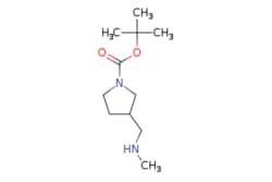 eMolecules​ AstaTech / 1-BOC-3-(METHYLAMINOMETHYL)-PYRROLIDINE / 0.25g