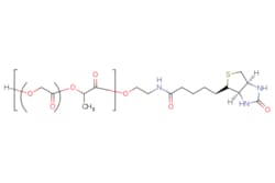 eMolecules​&nbsp;PLGA-Biotin, MW 5,000 | Broadpharm |417.480 | C17H27N3O7S | 0.000 | [H]OCC(=O)OC(C)C(=O)OCCNC(=O)CCCCC1SC[C@H]2NC(=O)N[C@@H]12 | 100mg | 761706593