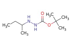 eMolecules​ AstaTech / N-(BUTAN-2-YL)(TERT-BUTOXY)CARBOHYDRAZIDE / 0.1g