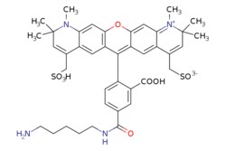 eMolecules​&nbsp;Broadpharm / BP Fluor 594 Cadaverine / 1mg / 599128700 / BP-25577 /  /  / [null] / 806.950 / C40H46N4O10S2