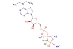 eMolecules​&nbsp;Medchem Express / ARL67156 (trisodium) / 1mg / 527574555 / HY-103265 /  / 1021868-83-6 / [null] / 785.055 / C15H21Br2N5Na3O12P3