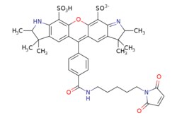 eMolecules​&nbsp;Broadpharm / BP Fluor 532 Maleimide / 1mg / 599128634 / BP-25558 /  / 890928-51-5 / [null] / 790.900 / C39H42N4O10S2