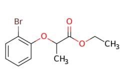 eMolecules​ 832737-55-0 | ChemScene | Ethyl 2-(2-bromophenoxy)propanoate