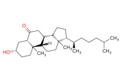 eMolecules​ 1175-06-0 | Medchem Express | 6-Ketocholestanol | 5mg | 719836458