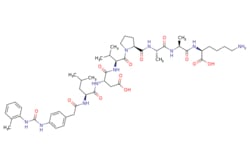 eMolecules​&nbsp;Medchem Express / LDV / 1mg / 783660629 / HY-P2267 /  / 1155866-55-9 / [null] / 979.146 / C48H70N10O12