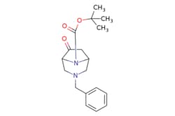 eMolecules​ Ambeed / tert-Butyl 3-benzyl-6-oxo-38-diazabicyclo[3.2.1]octane-8-carboxylate