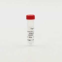 Revvity Health Sciences Inc&nbsp;HTRF Tag-Lite Adenosine A2A Receptor Red Antagonist Ligand, 5,000 Assay Points