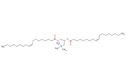 eMolecules​&nbsp;Broadpharm / 181 TAP (DOTAP MS Salt) / 10mg / 718091881 / BP-28291 / 95.000 / 144189-73-1 / [null] / 663.104 / C42H80NO4