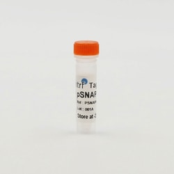 Revvity Health Sciences Inc Tag-lite pSNAP-D2 Dopamine Receptor type 2
