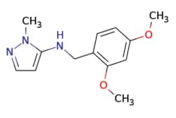 eMolecules​ Synthonix / N-[(24-dimethoxyphenyl)methyl]-2-methylpyrazol-3-amine