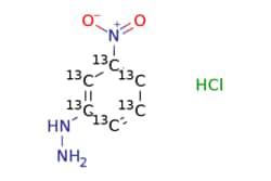 eMolecules​&nbsp;Medchem Express / 3-Nitrophenylhydrazine-13C6 (hydrochloride) / 1mg / 705860714 / HY-133689AS /  / 1977535-33-3 / [null] / 195.550 / C6H8ClN3O2