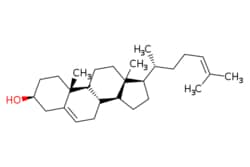 eMolecules​&nbsp;Medchem Express / Desmosterol / 5mg / 686240849 / HY-113224 /  / 313-04-2 / MFCD00056432 / 384.648 / C27H44O