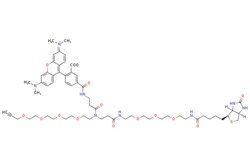 eMolecules​&nbsp;Broadpharm / TAMRA Biotin Alkyne / 1mg / 795362041 / BP-40295 /  /  / [null] / 1188.420 / C60H83N8O15S